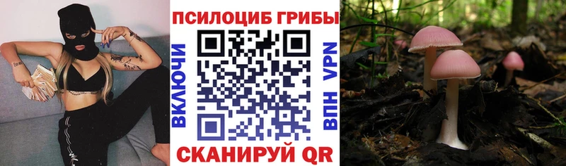 shop Telegram Зима Галлюциногенные грибы мухоморы